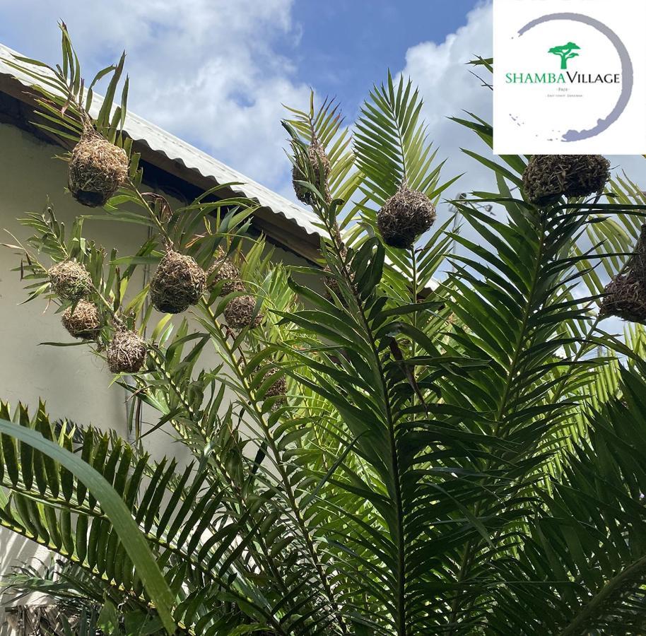 Shamba Village ปาเยอ ภายนอก รูปภาพ